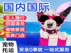 昭通机场快递国际宠物托运 【国